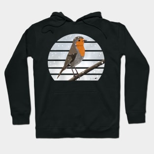 Robin Winter Snow Bird Watching Birding Ornithologist Gift Hoodie